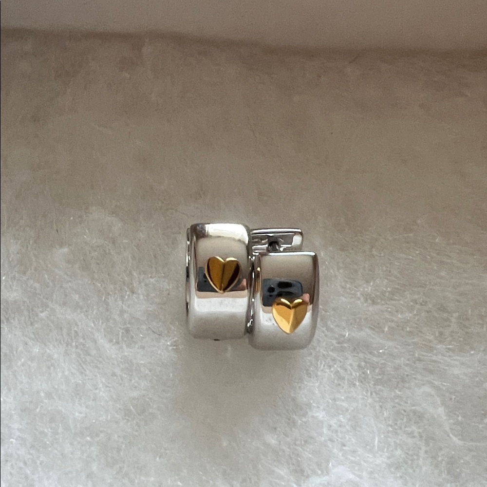 Chic Silver and Gold Heart Earrings